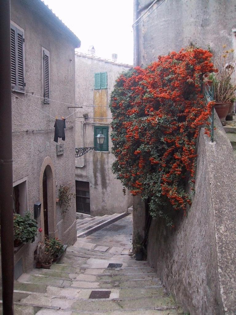 فندق Locanda La Pieve Semproniano المظهر الخارجي الصورة